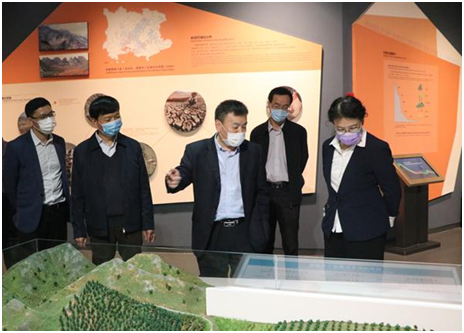 兰燕（右一）在中国岩溶地质馆调研