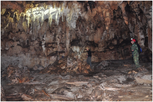项目组成员在广西那坡县坡荷乡弄耀村开展洞穴调查